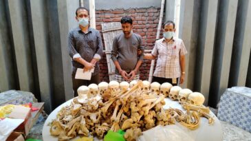 ময়মনসিংহে বিপুল পরিমান মানবদেহের কঙ্কাল উদ্ধার