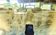 কুষ্টিয়ায় ঝুঁকিপূর্ণ বয়লার দিয়ে চলছে ৩৫০ হাসকিং মিল