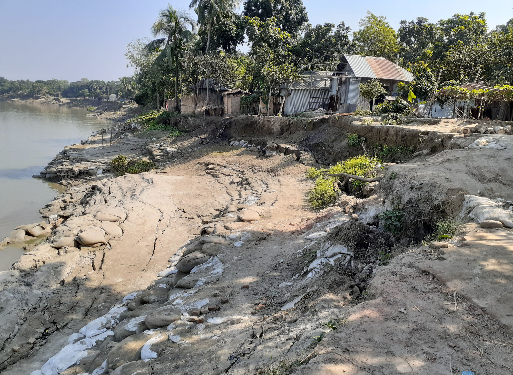 ফরিদপুরে নদী ভাঙন আতঙ্কে দিন কাটাচ্ছে হাজারো মানুষ