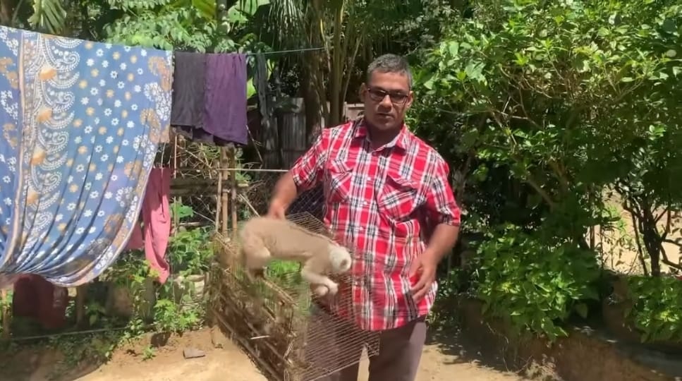 শ্রীমঙ্গলে লজ্জাবতী বানর উদ্ধার