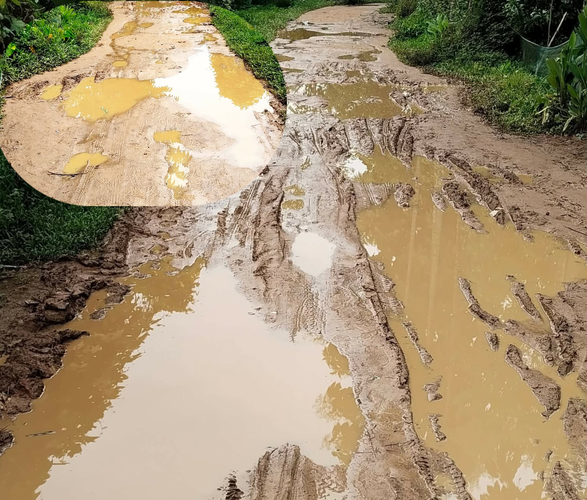 কাঁচা রাস্তায় কাদা আর জলাবদ্ধতা : দুর্ভোগে হাজারো মানুষ