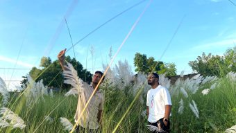 কমলগঞ্জের প্রকৃতি সেজেছে শরতের কাশফুলে