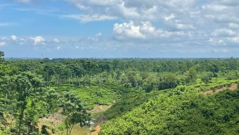 Dunyo boylab odamlar qanday sikishadi (foto) Strapon bilan etuk porno